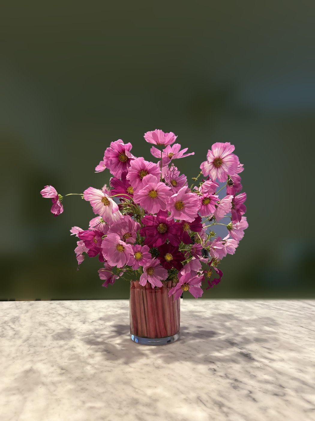 Pink and magenta cosmos in a glass vase lined with rhubarb stalks
